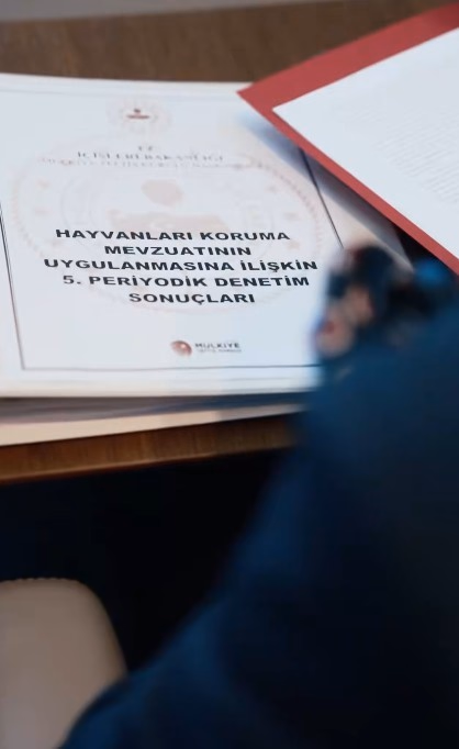 Bakan Çiftçi'den Sokak Hayvanları Açıklaması