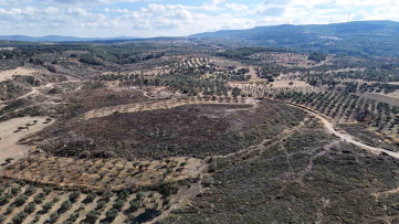 Çanakkale'de Yanan Ormanlar Yeşeriyor