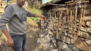 Diyarbakır'ın Çermik İlçesinde Bağ Bozumu