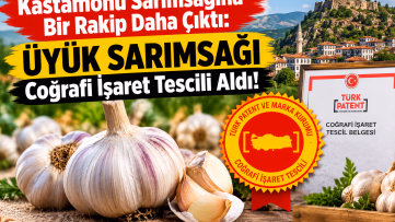 Kastamonu Sarımsağına Bir Rakip Daha Çıktı!