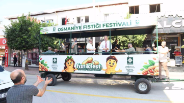 Osmaniye'de Festival Öncesi Fıstık Hasadı Yapıldı