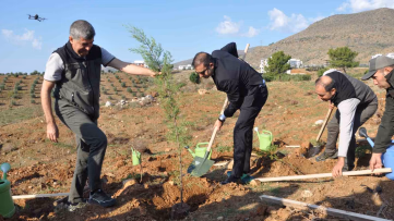 Silifke’deki Hatıra Ormanı Yeniden Yeşilleniyor