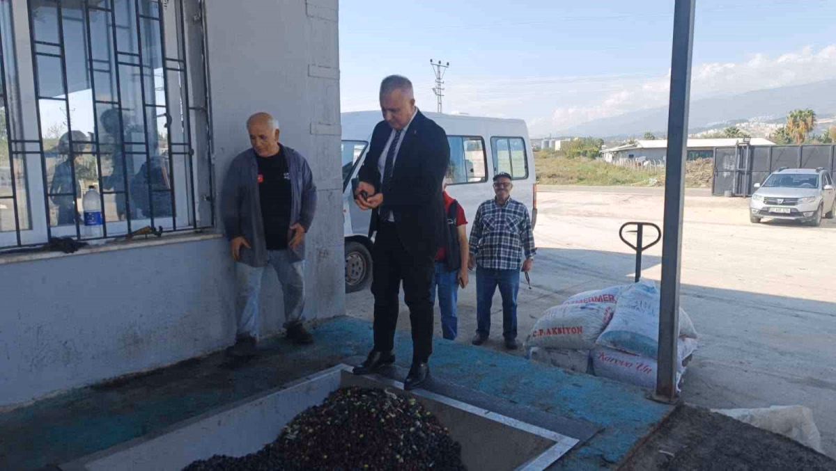 Zeytinyağı Üreticilerine Hasat Uyarısı Yapıldı
