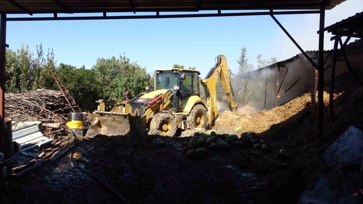 Antalya'da İki Yıl Arayla Yanan Ahırda Hayvanlar Telef