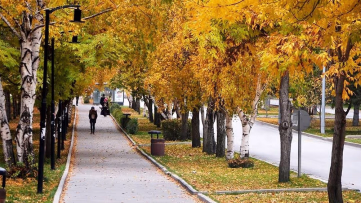 Doğu Anadolu İçin Sağanak ve Sis Uyarısı