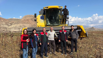 Erzincan’da Ayçiçeği Hasadında Sıkı Denetim