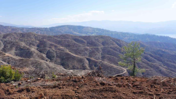 Kahramanmaraş'ta yanan ormanlara 1 milyon fidan