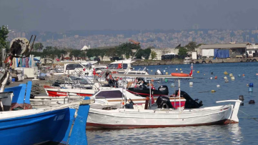 Karadeniz’de Palamut Bolluğu İçin Uyarı