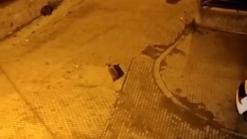 Kars'ta Ayılar Mahalleyi İstila Etti