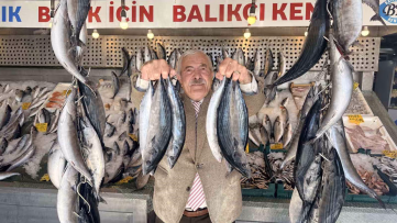 Palamutta bereket, kilosu 100 TL'ye düştü