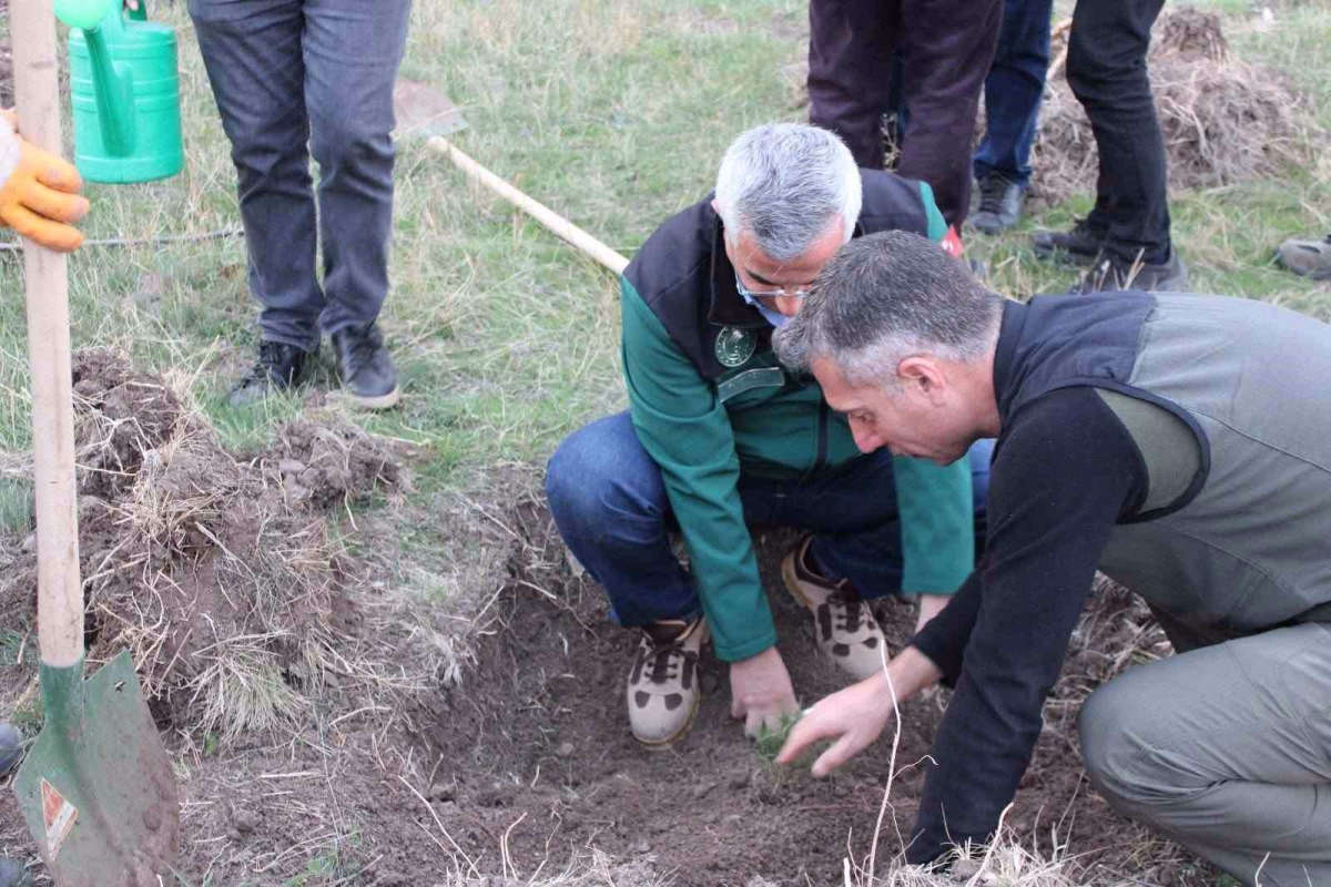 Yeşil Vatan İçin Güç Birliği