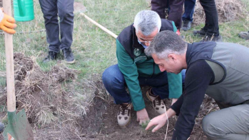 Yeşil Vatan İçin Güç Birliği