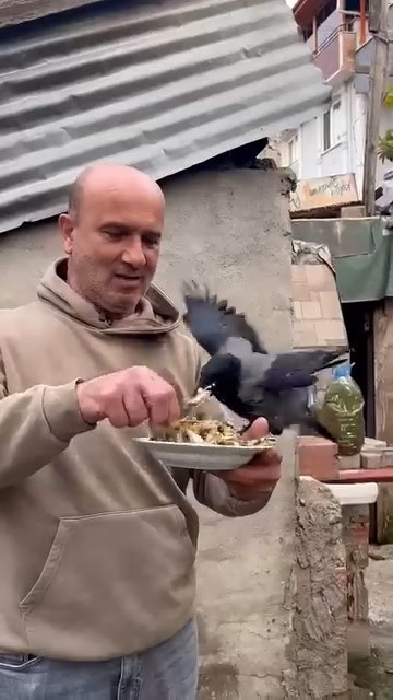 4 yıldır beslediği kargaya balık yedirdi