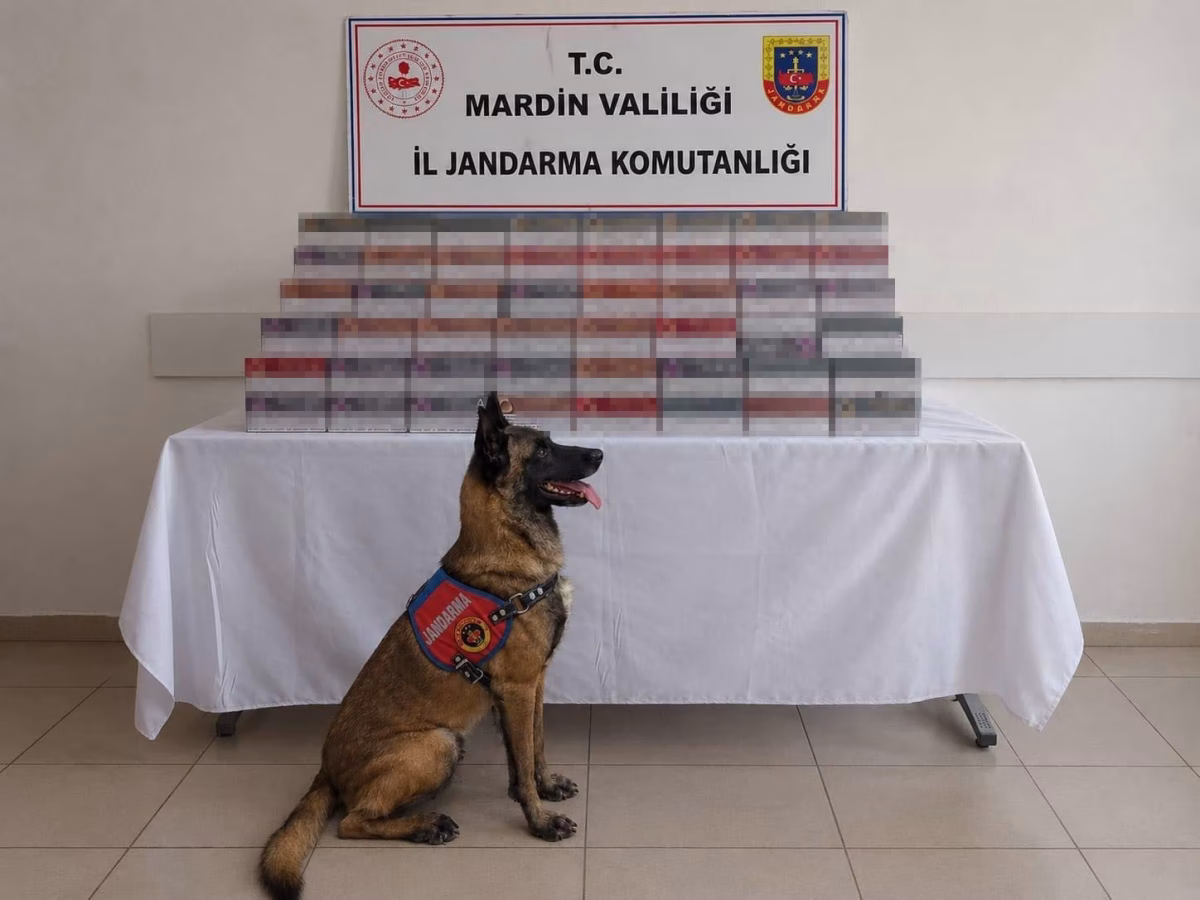 Mardin'de 8 milyon liralık kaçak ürün ele geçirildi