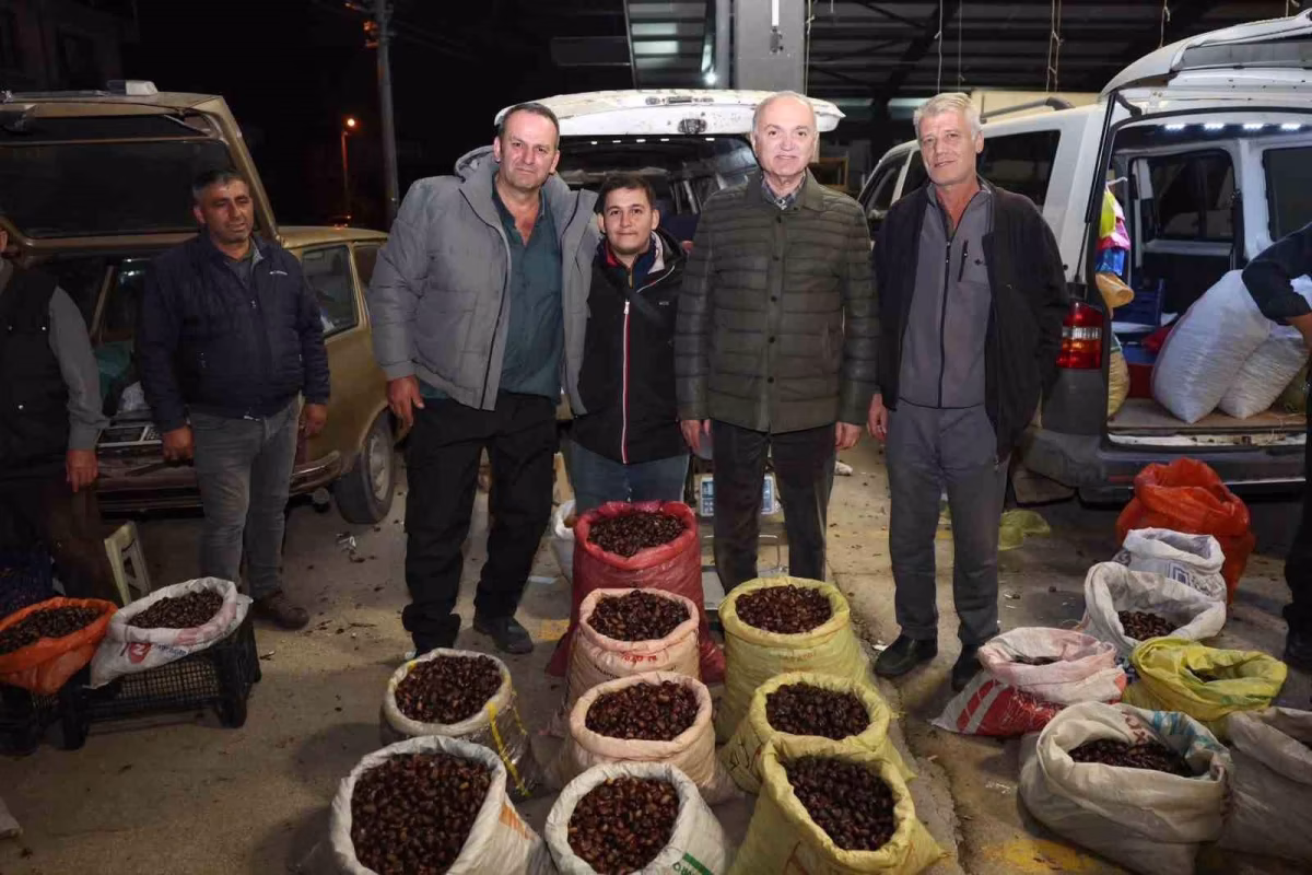 Düzce'de Kuzu Kestanesi Pazarına Yoğun İlgi