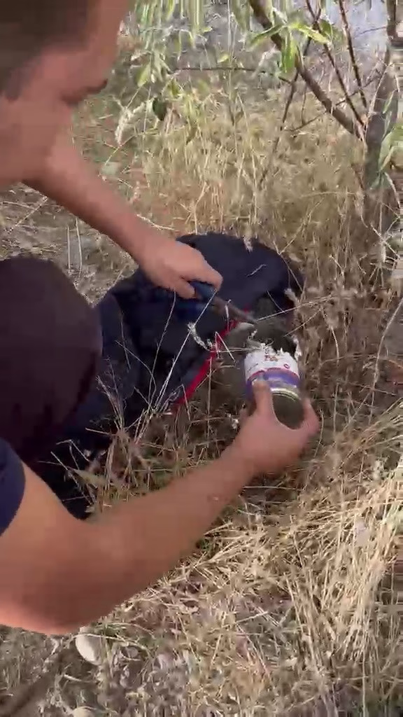 Konserve Kutusuna Sıkışan Kedi Kurtarıldı