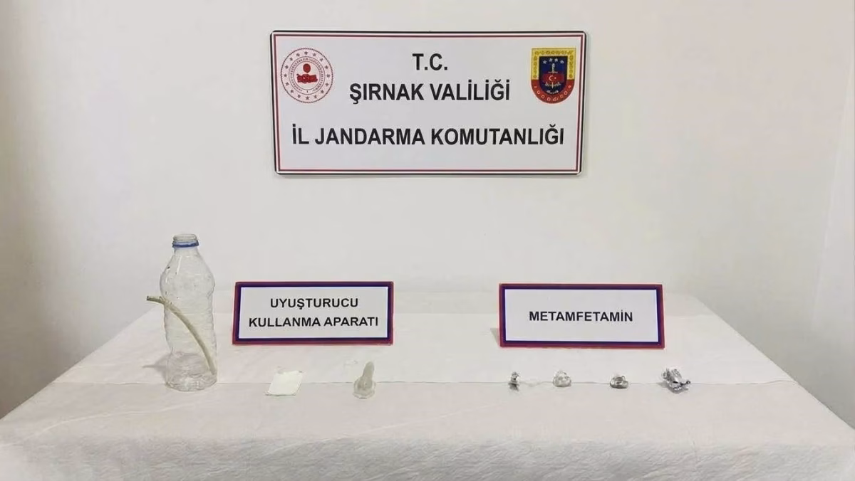 Şırnak'ta Jandarma Operasyonu: 12 Tutuklama
