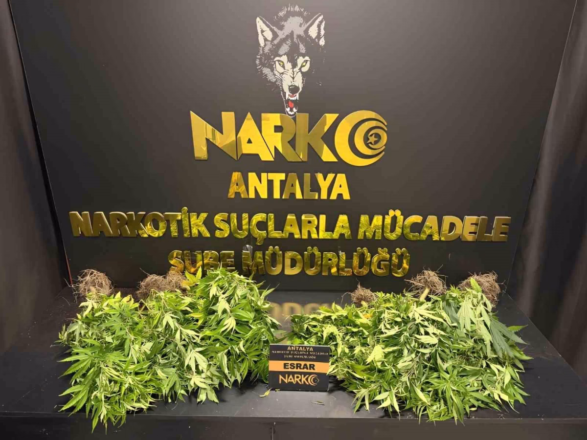 Antalya'da Narkotik Operasyonları: Binlerce Sentetik Ecza