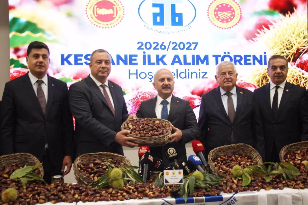Aydın kestanesinde ilk ürün 600 liradan satıldı