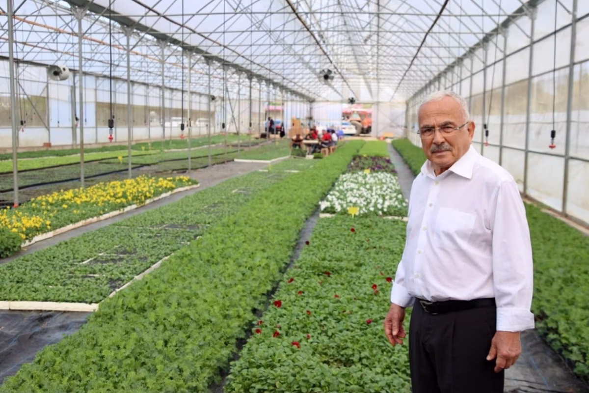 Belediye Kendi Sera Çiçeklerini Üretiyor