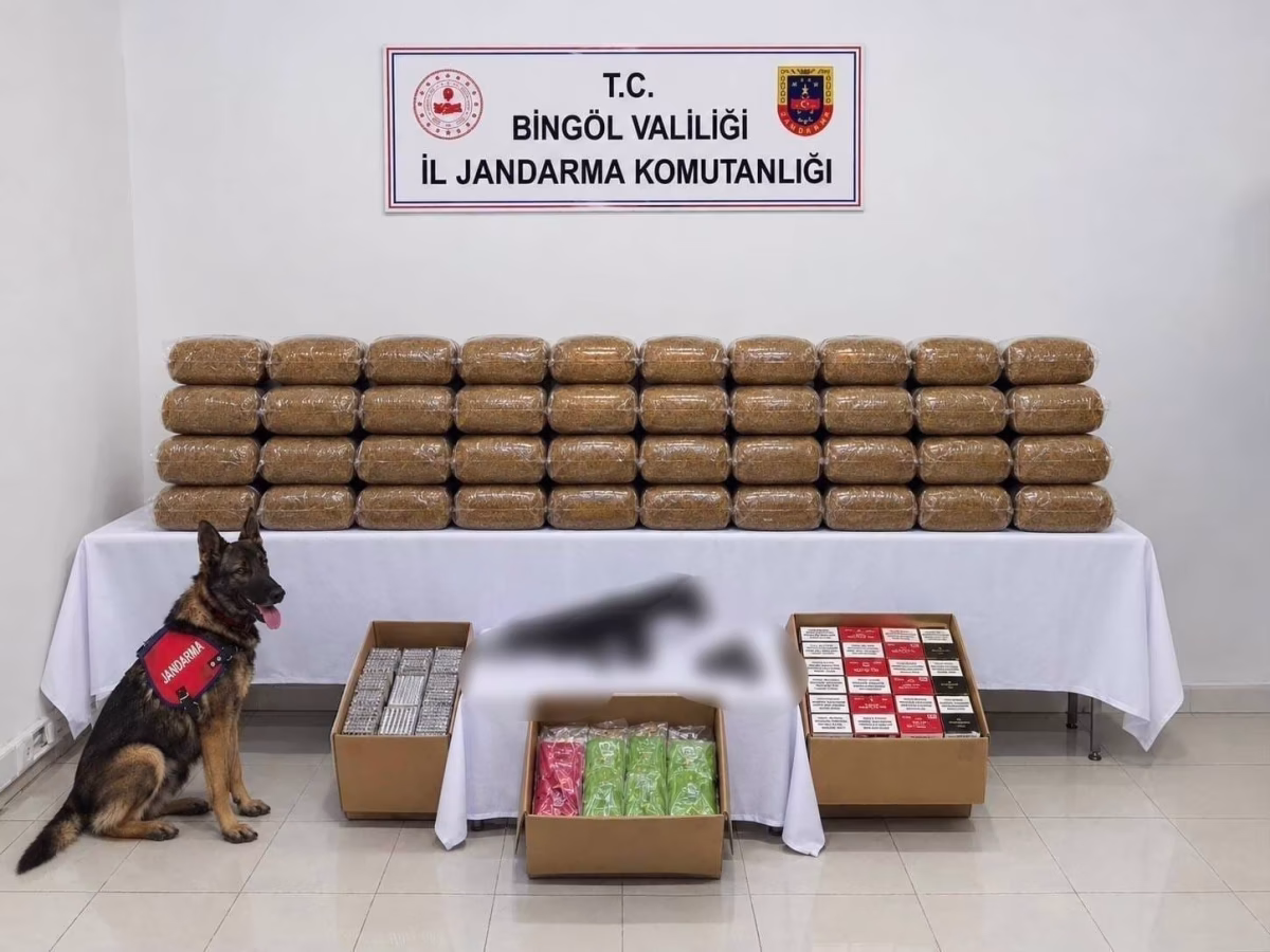 Bingöl'de aranan 4 firari yakalandı