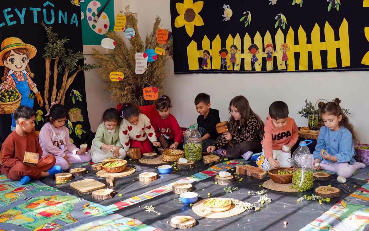 Çocuklar geleneksel yöntemlerle zeytin kırdı