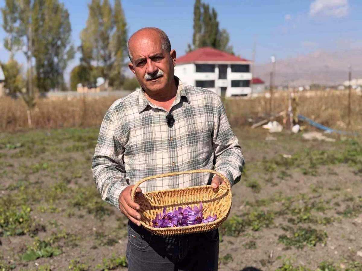Esnaflığı Bırakıp Kırmızı Altın Üretmeye Başladı