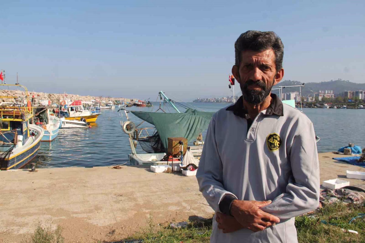Karadeniz'de Palamut Bolluğu Hamsiyi Tehdit Ediyor