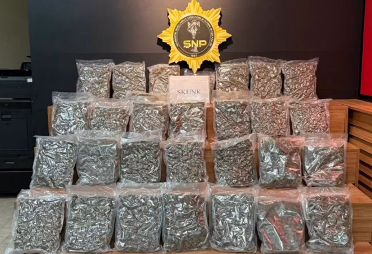 Otobüste Kilolarca Skunk Yakalandı