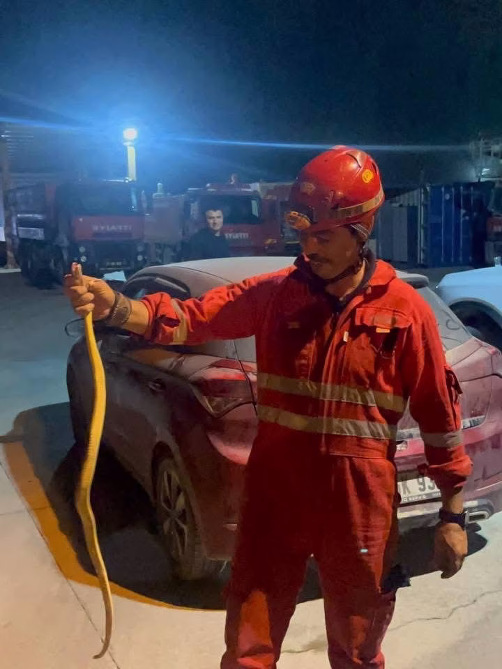 Antakya İtfaiyesinde Şaşırtan Yılan Operasyonu