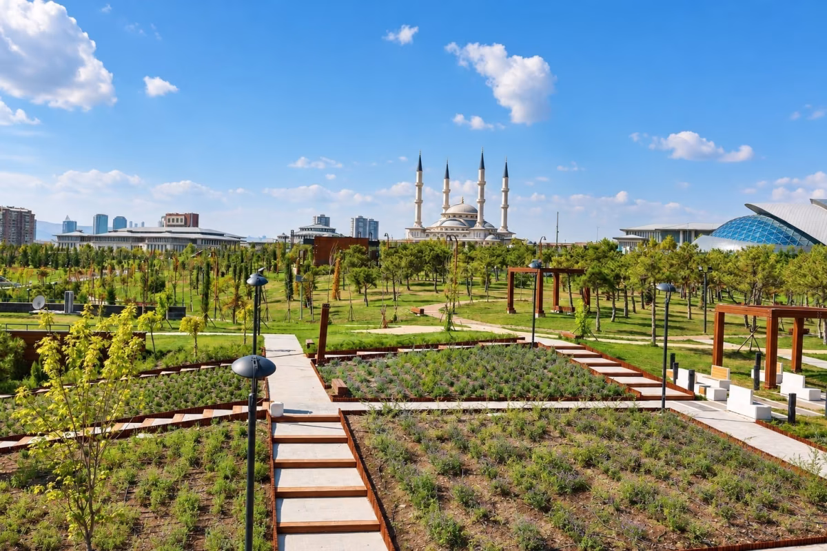 Beştepe Millet Ormanı ziyarete açılıyor