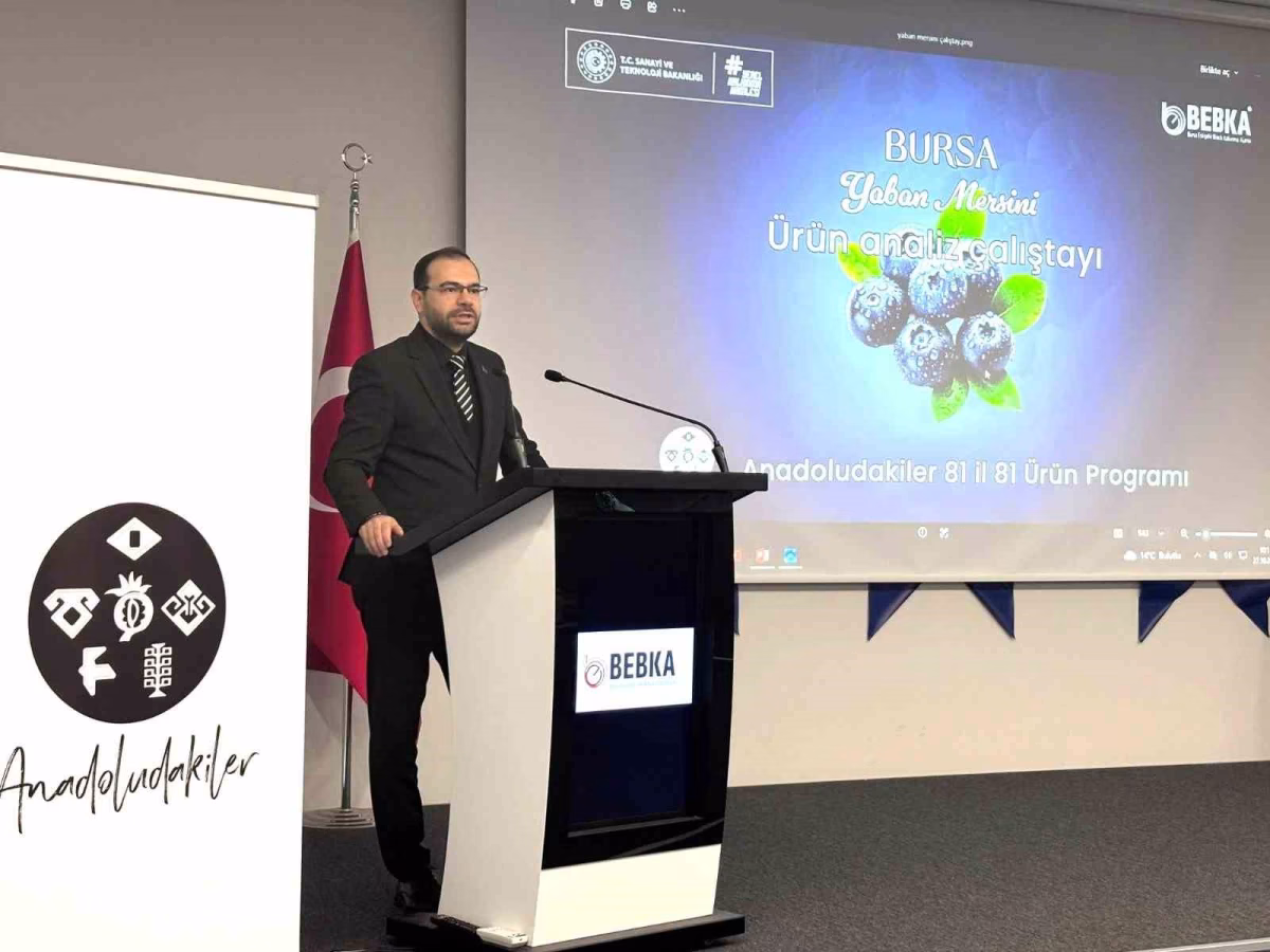 Bursa Yaban Mersini İçin Yol Haritası Çiziliyor