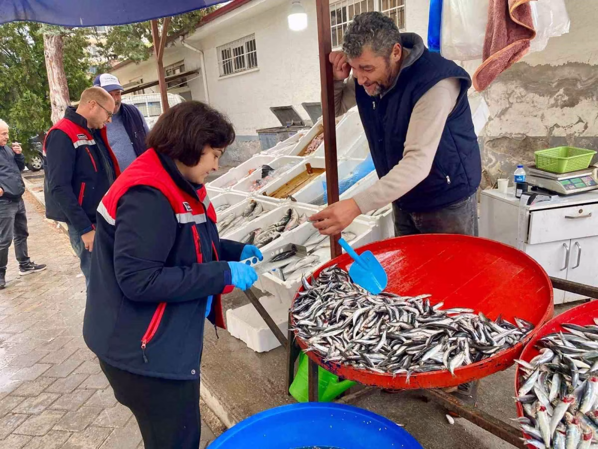 Dazkırı’da balık satış noktaları denetlendi