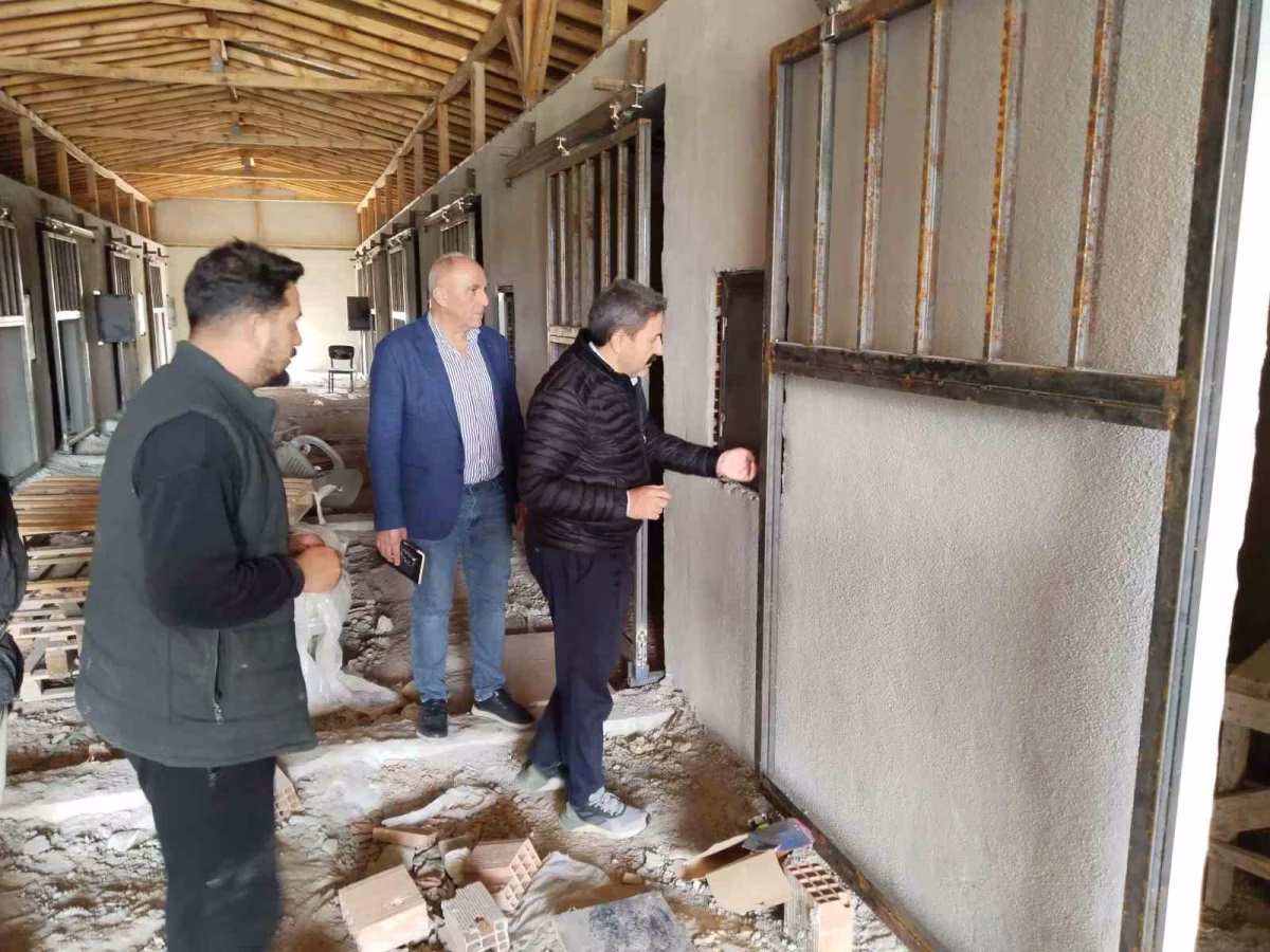 Eskişehir'de Atlık Barınak Projesi Sürüyor