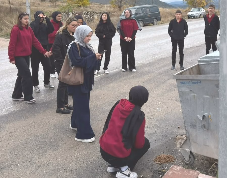 Hisarcık'ta Sokak Hayvanlarına Anlamlı Destek