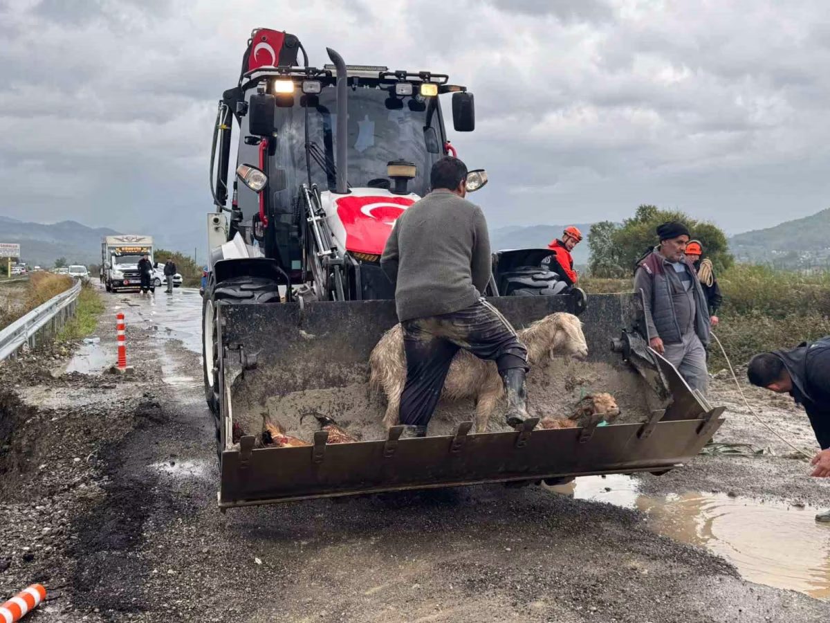 Muğla Dalaman Sular Altında Kaldı
