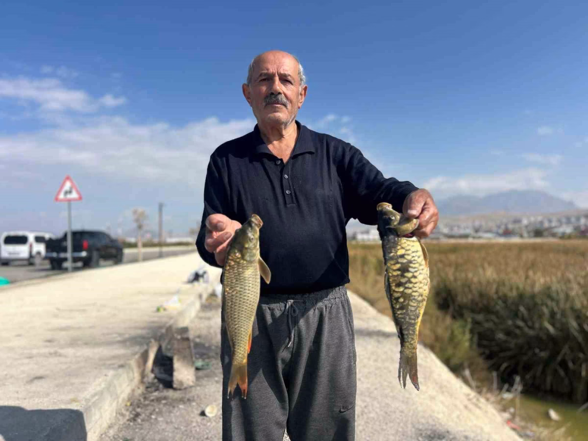 Van Gölü’nde Aynalı Sazan Mesaisi