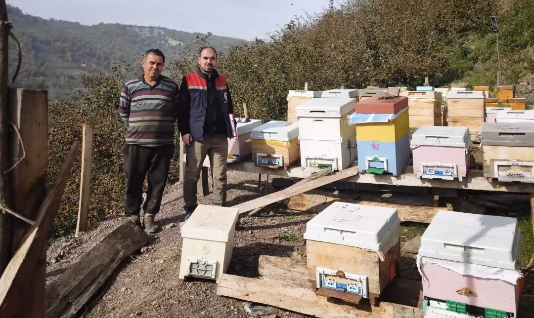 Yığılca'da Arılı Kovan Sayımı Tamamlandı