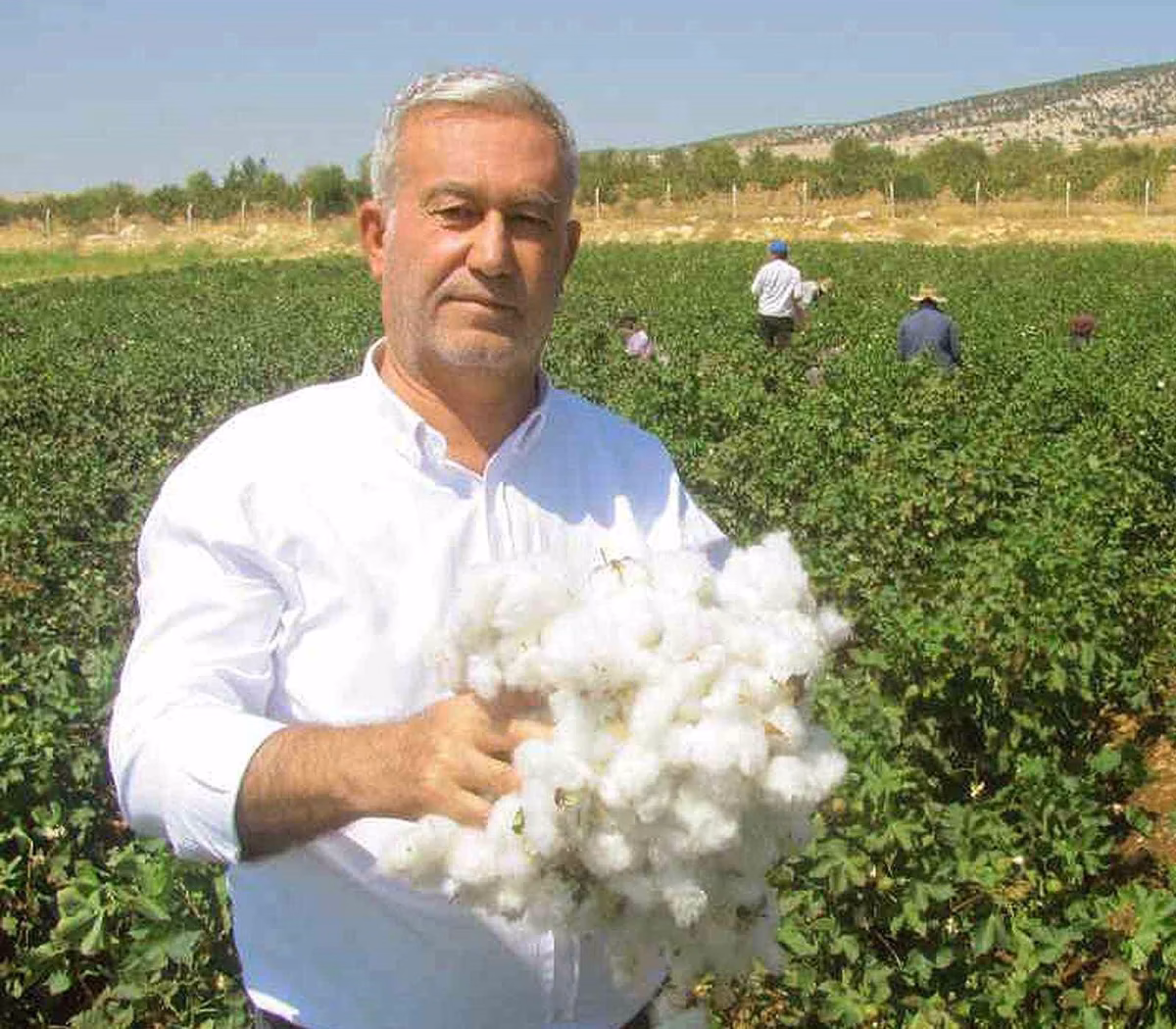 Araban ÇUKOBİRLİK Yeni Pamuk Fiyatlarını Açıkladı
