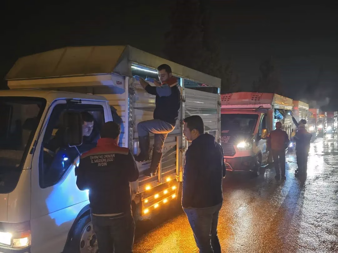Hayvan pazarlarında sıkı denetim