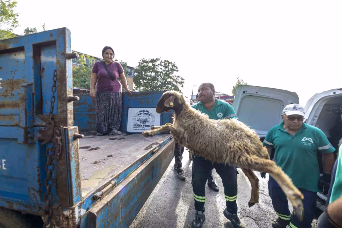 Mersin'de üreticilere kapsamlı tarımsal destek paketi
