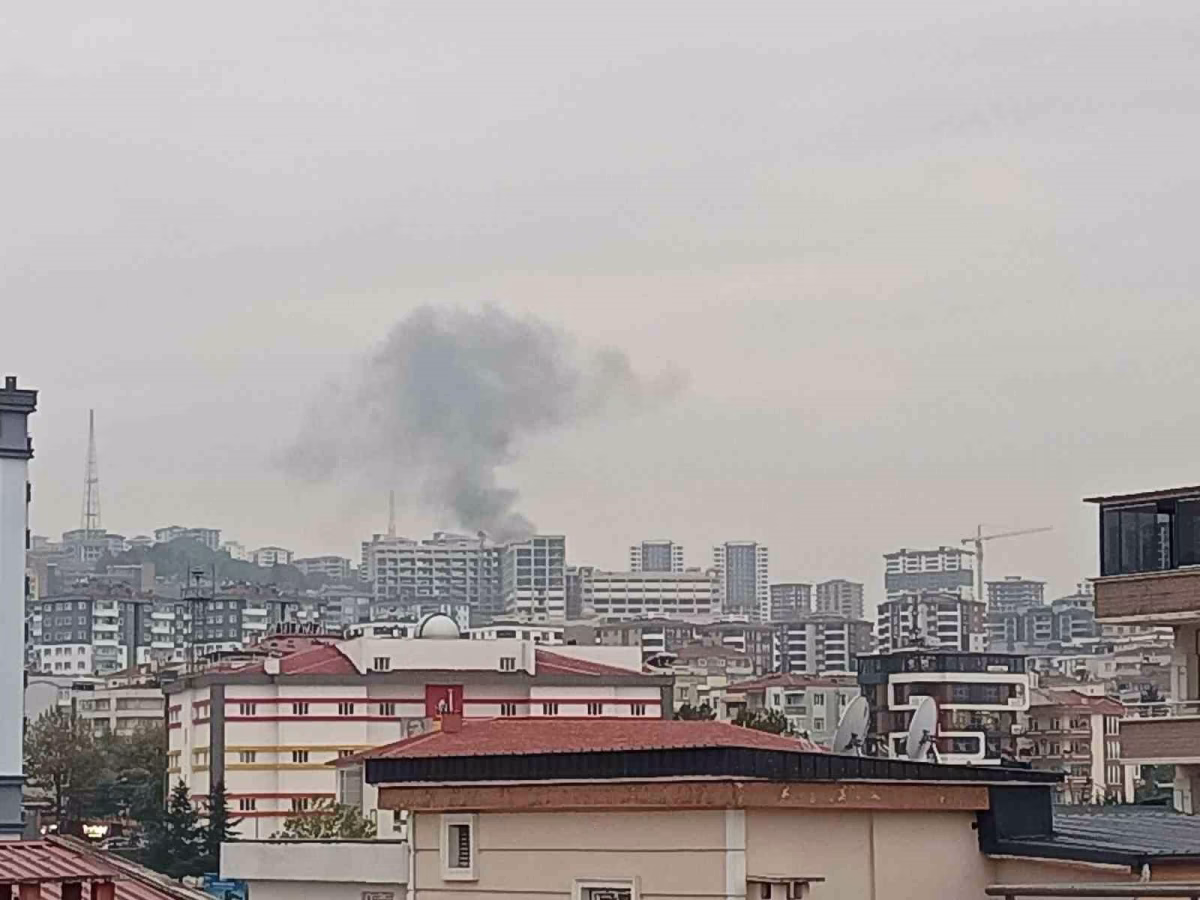 Samsun'da anız dumanı paniğe yol açtı