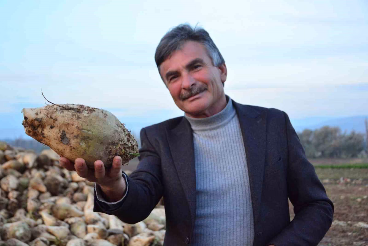Şeker Pancarı Üreticisinden Zarar İddialarına Tepki
