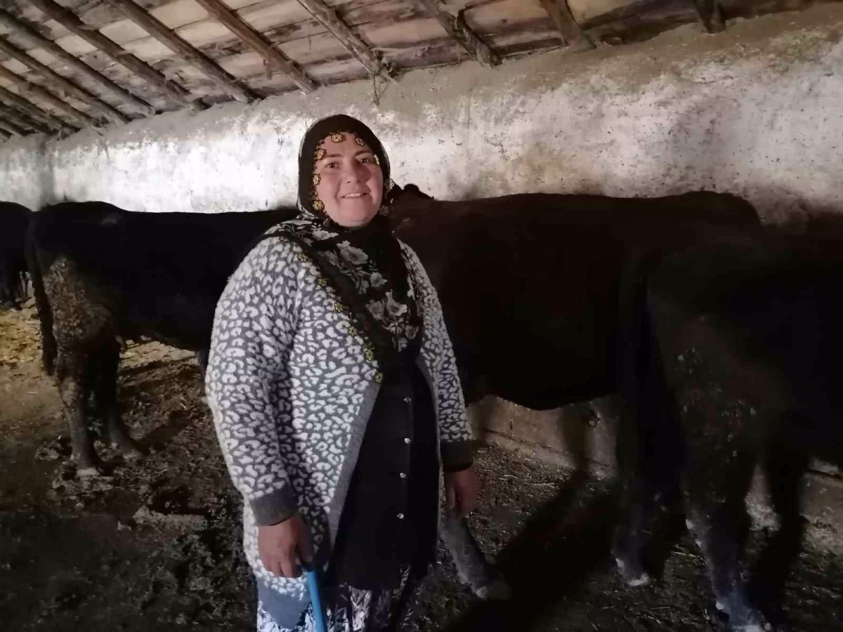 Hınıs Kırsalda Bereket Projesi Buzağı Verdi