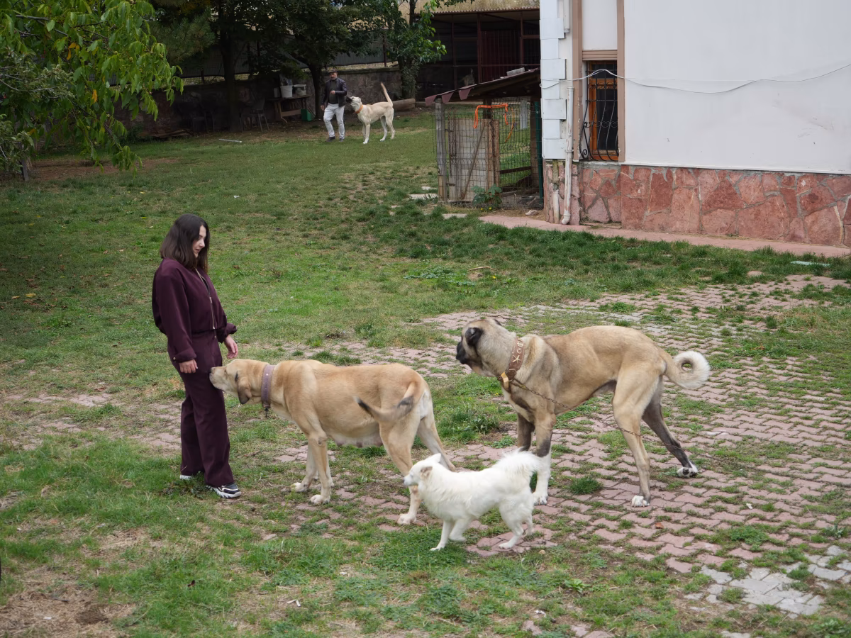 Köpek sevgisiyle konsolosluktan vazgeçip marka kurdu