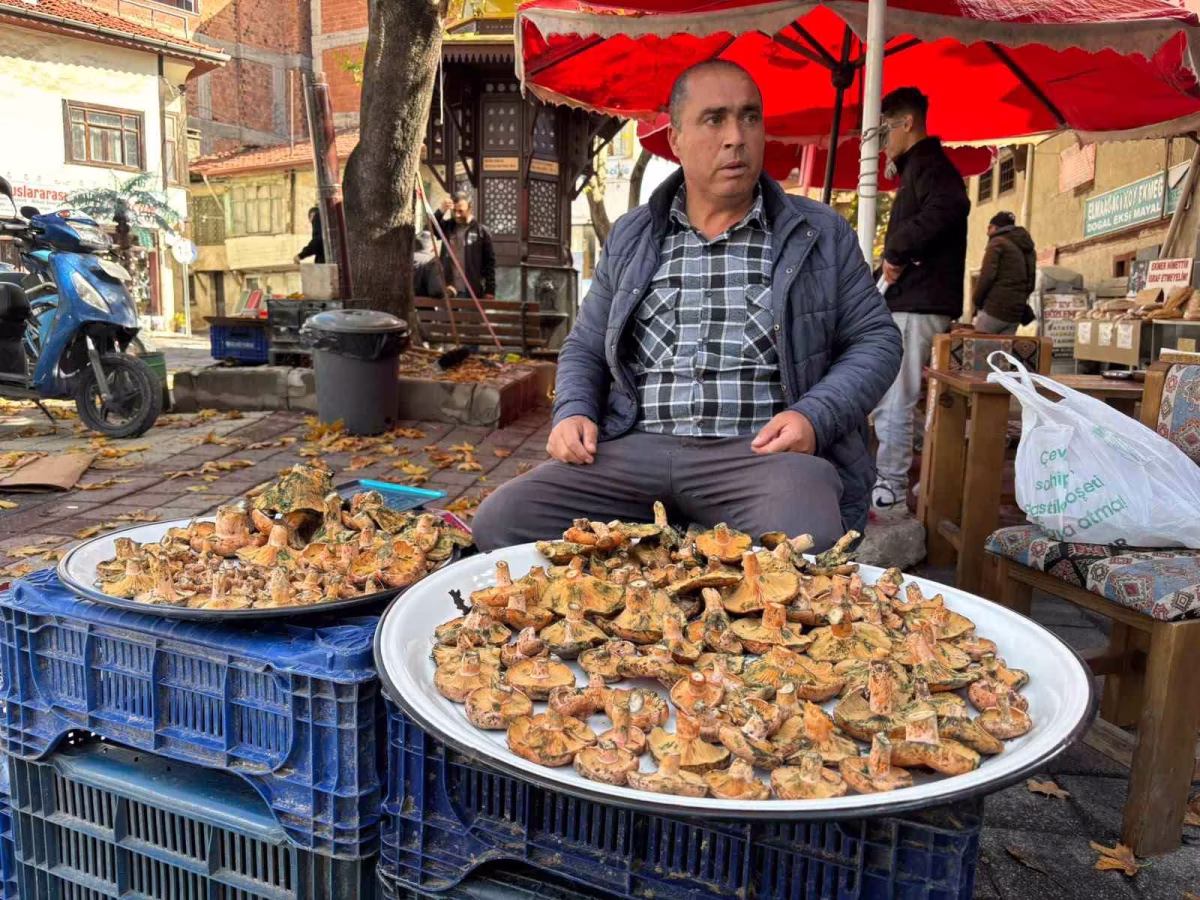 Tavşanlı'da dağ mantarı tezgahlarda yerini aldı