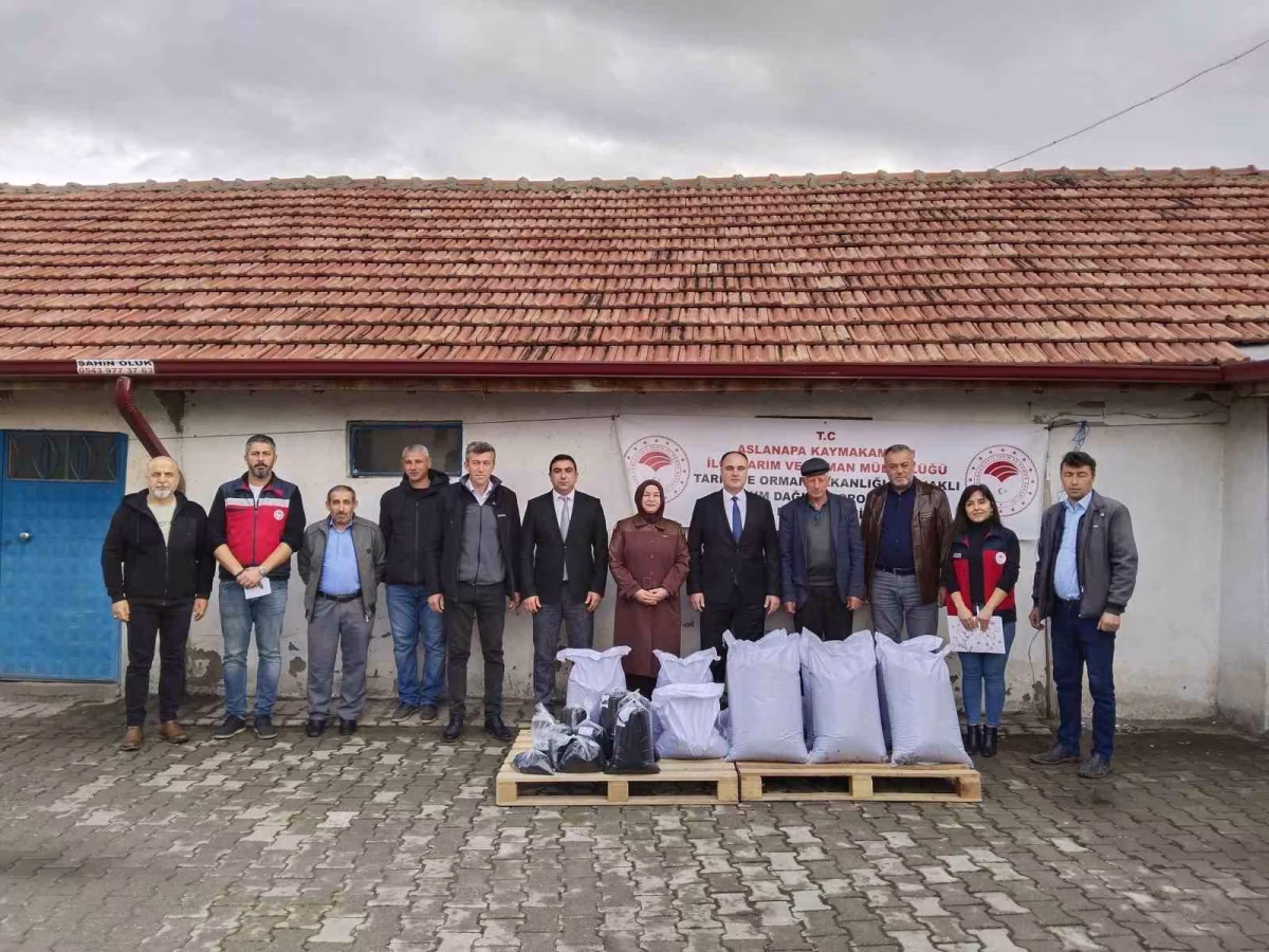 Aslanapa'da üreticilere hibeli çörekotu tohumu desteği