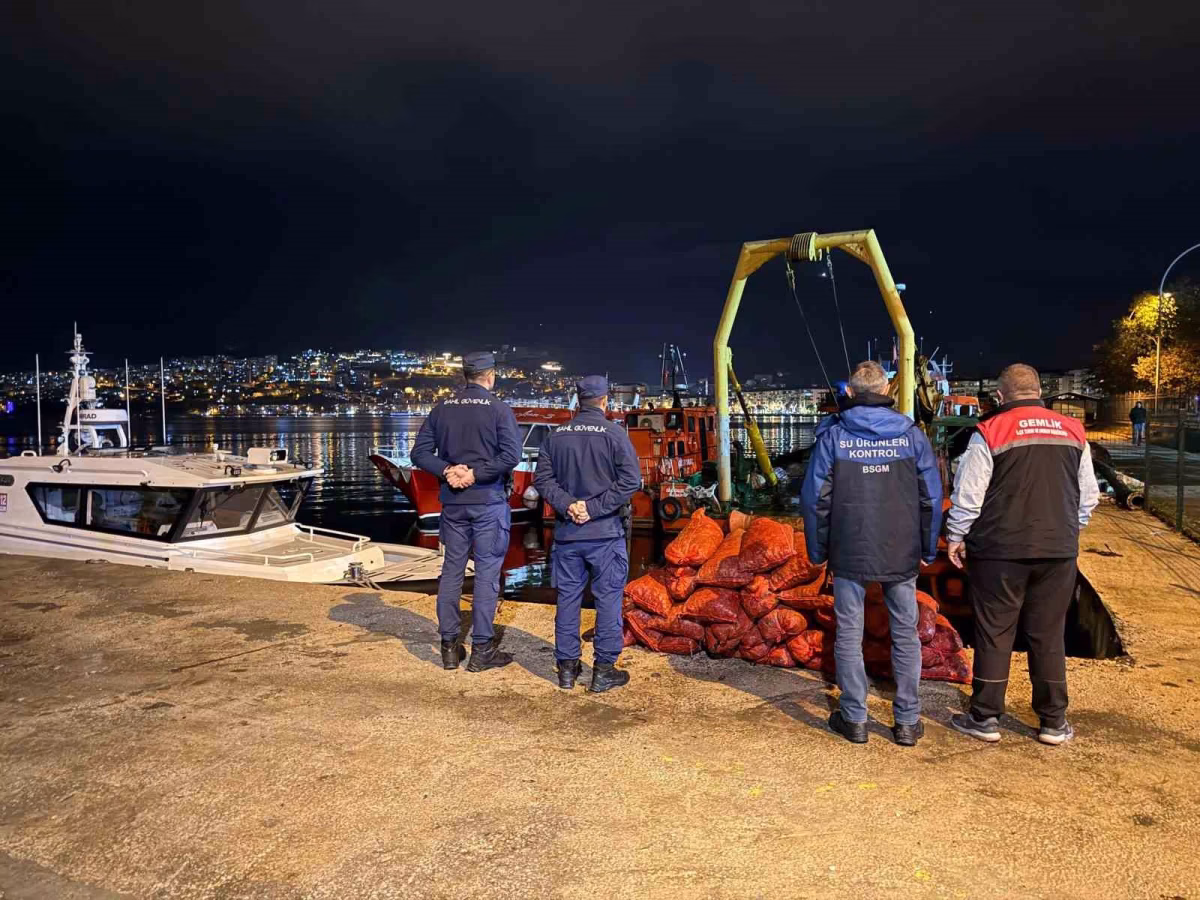 Bursa’da Kaçak Midye Operasyonu