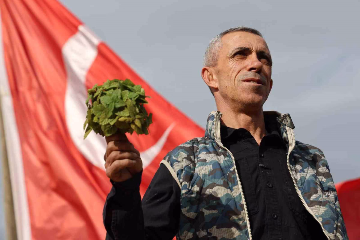 Dağlık araziyi tıbbi aromatik bahçeye çevirdi