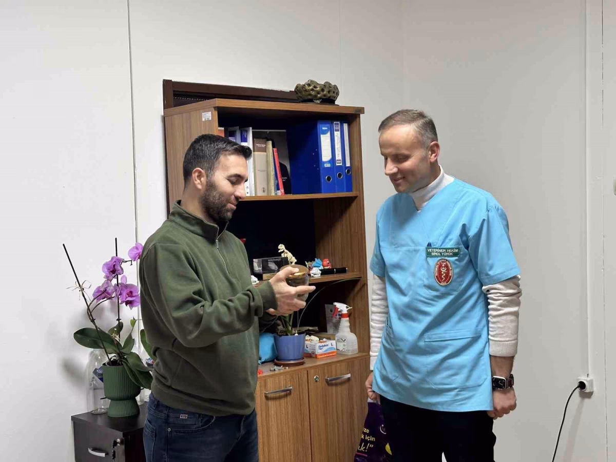 İneğin Boğazından Çıkan Armut Ders Olacak